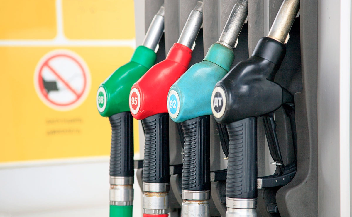 Михаил Маршалик / Shutterstock