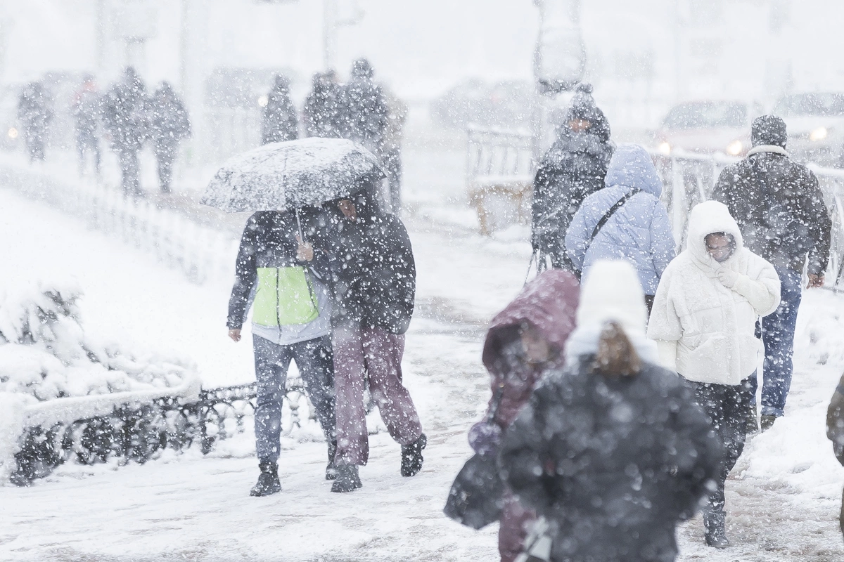Александр Подгорчук