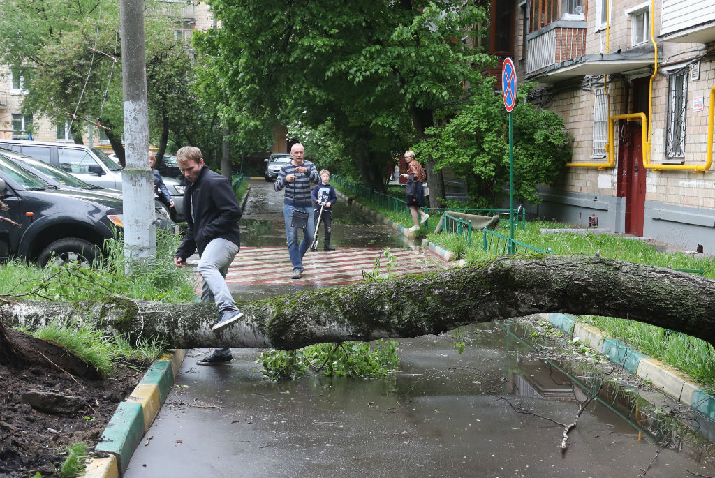 Последствия урагана в московском спальном районе Богородское