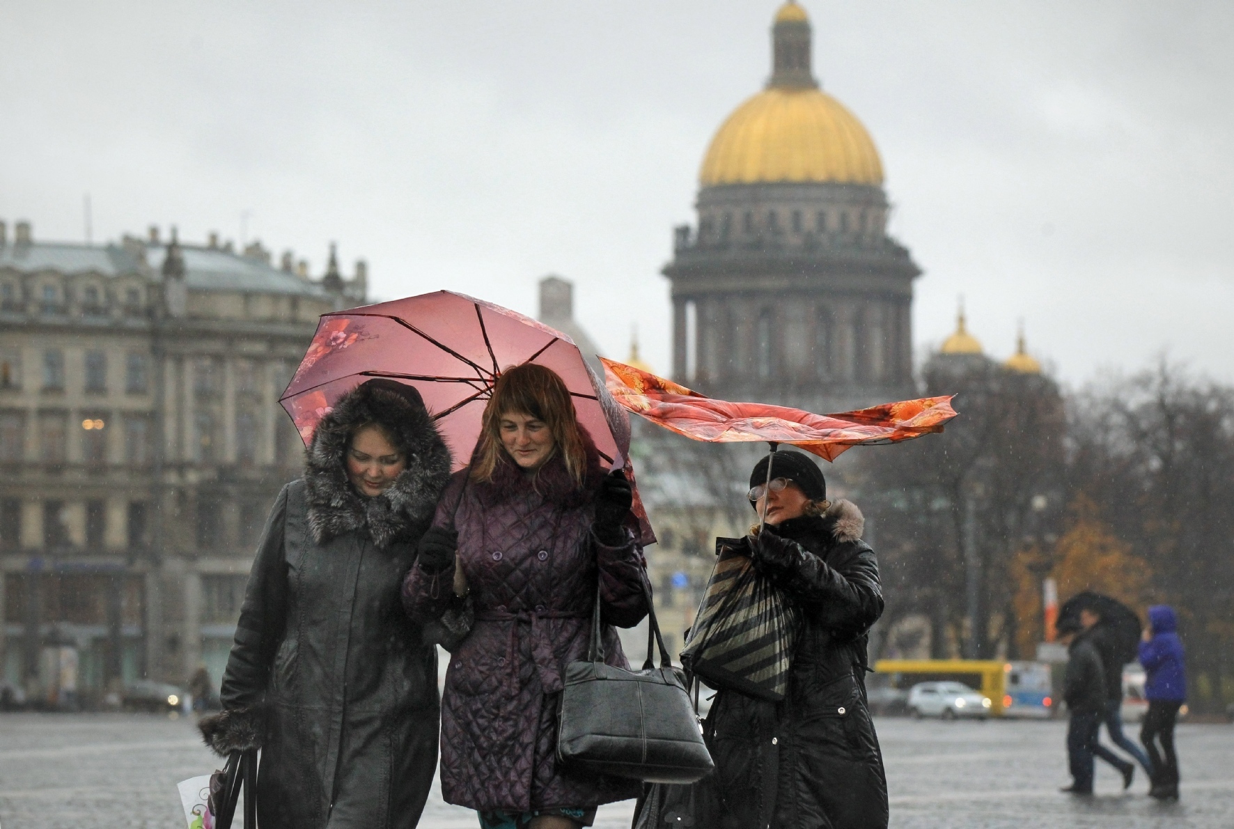 Питер сегодня погода видео. Ветер в Питере. Дождь в СПБ. Потепление в Петербурге. Сильный ветер в Санкт-Петербурге зимой.