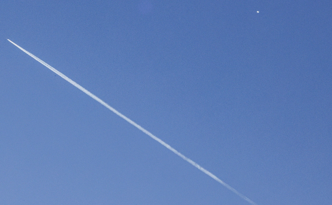 Nell Redmond / EPA / ТАСС