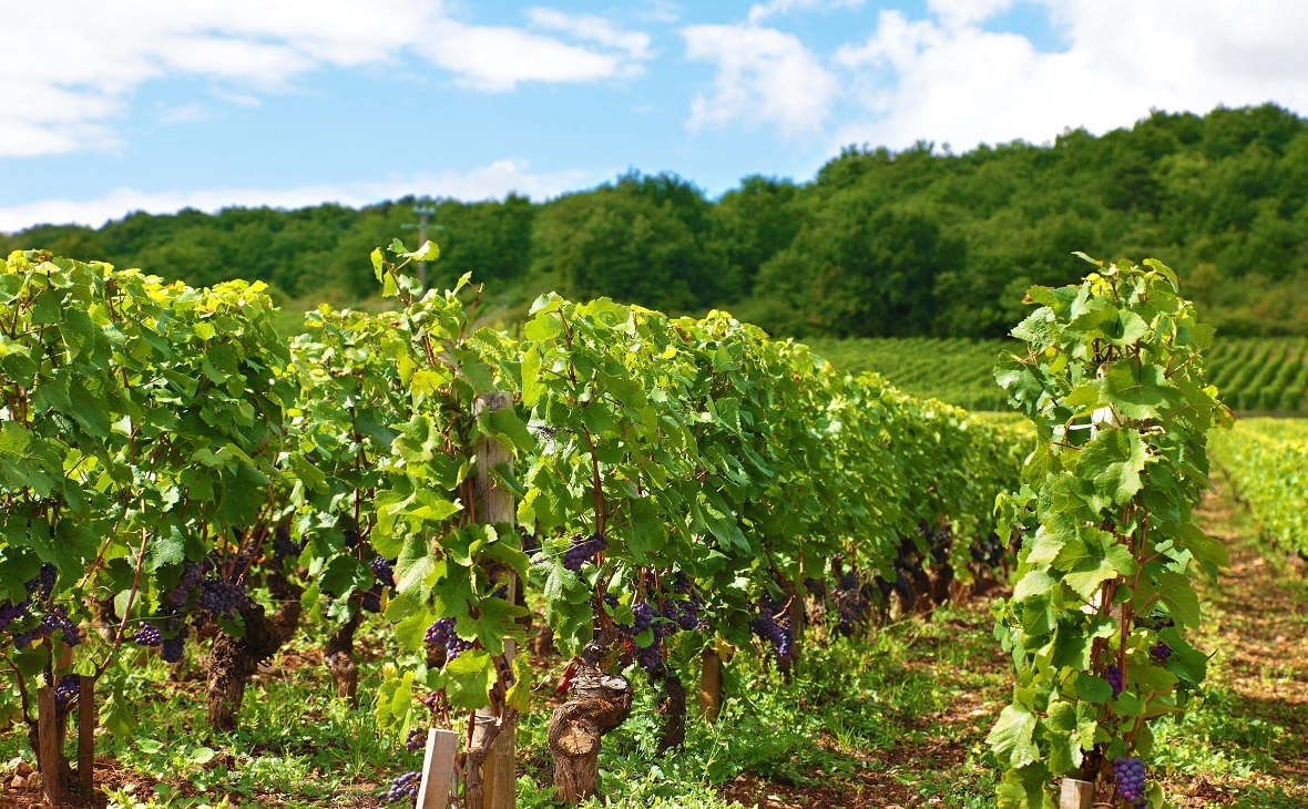 freepik.com