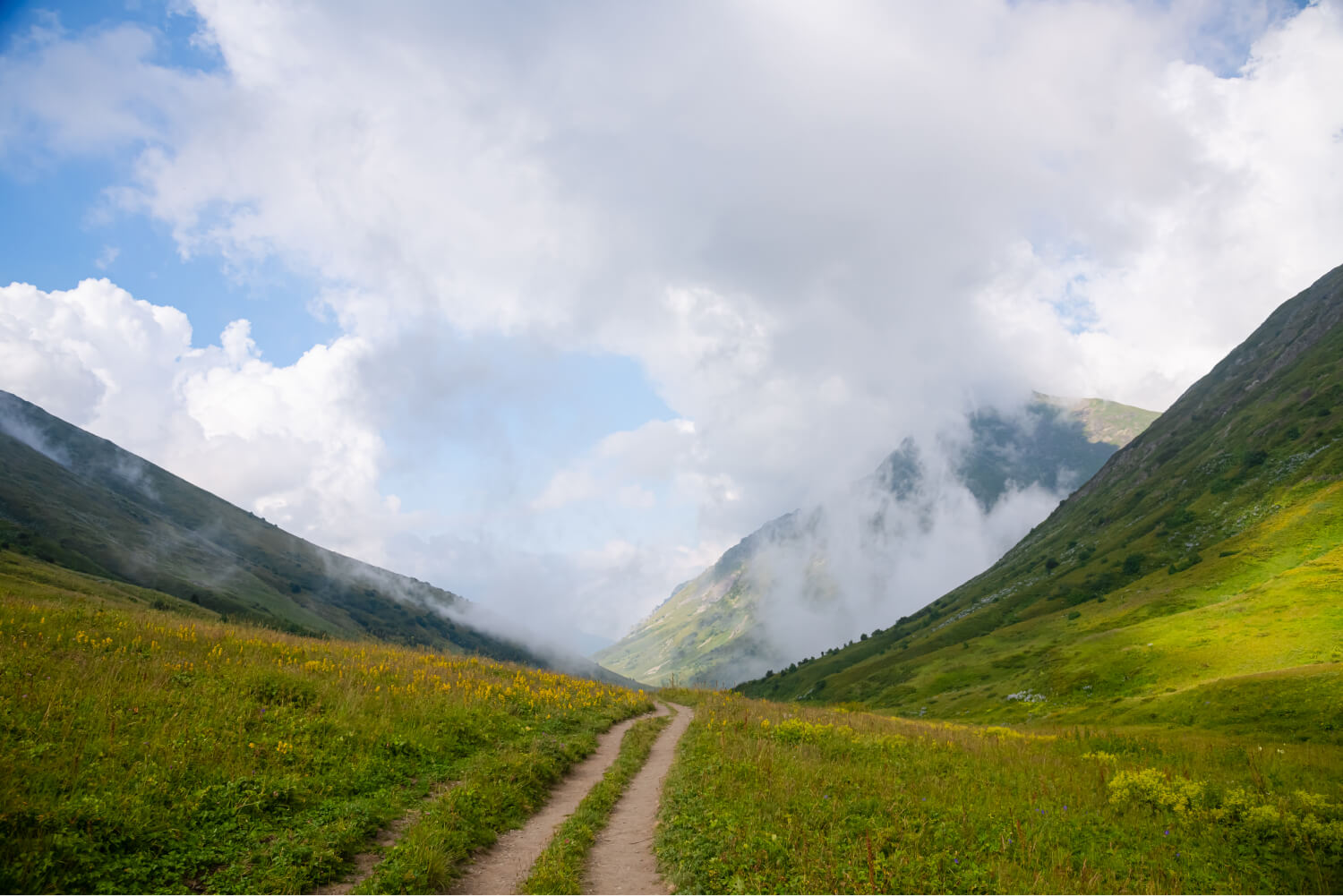 Маршруты экологических троп проходят в живописных местах: реликтовые субтропические леса Колхиды и высокогорные альпийские луга.