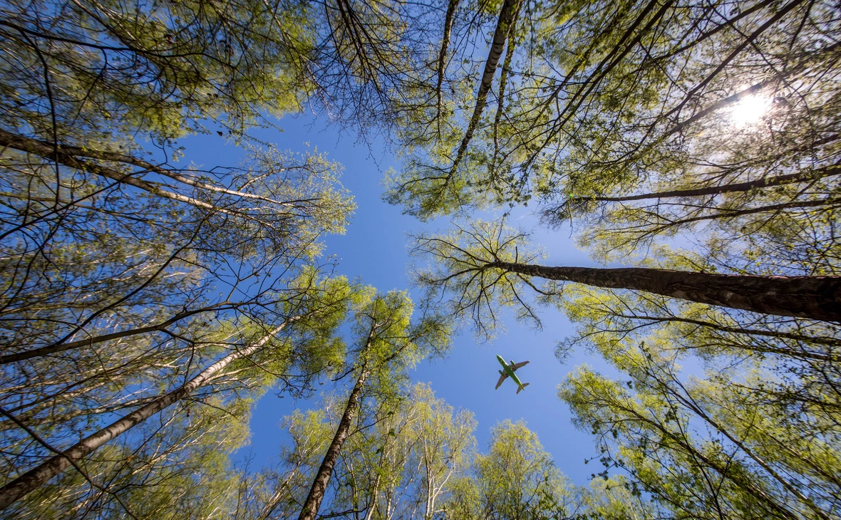 Лысцева Марина / ТАСС