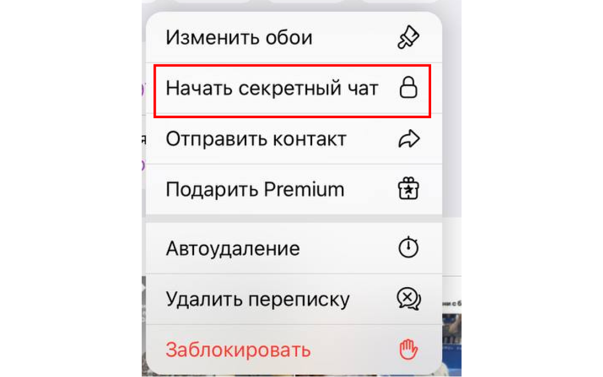 Видеозвонки, секретные чаты, таймкоды. Функции Telegram, облегчающие жизнь - | KG