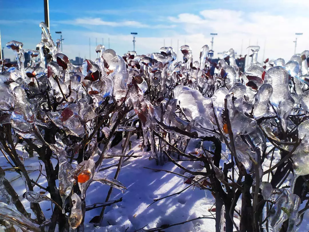 РБК Приморье