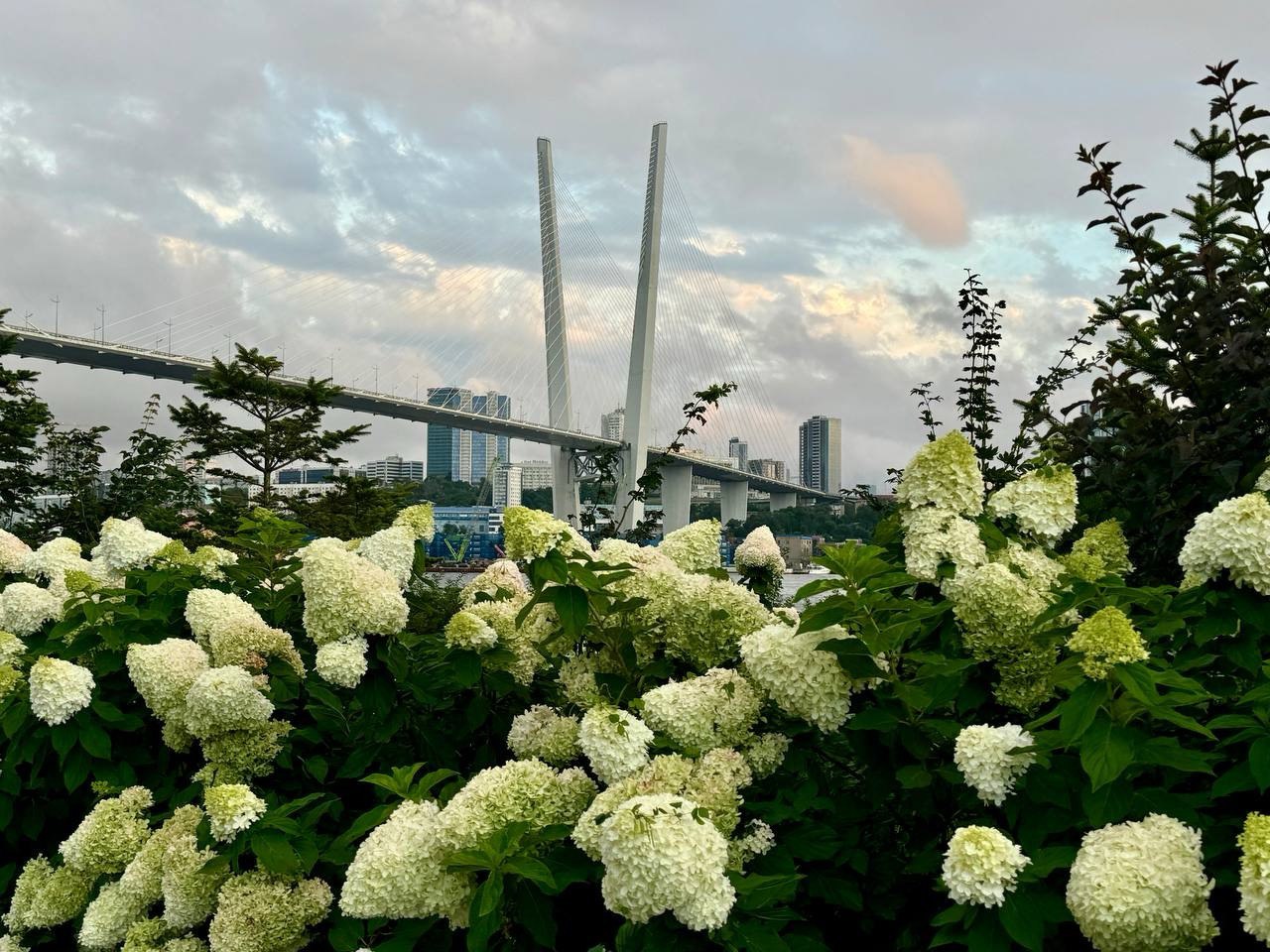 Фото: РБК Приморье