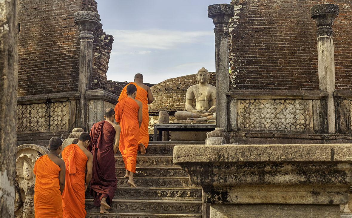 Фото: Cortyn / Shutterstock