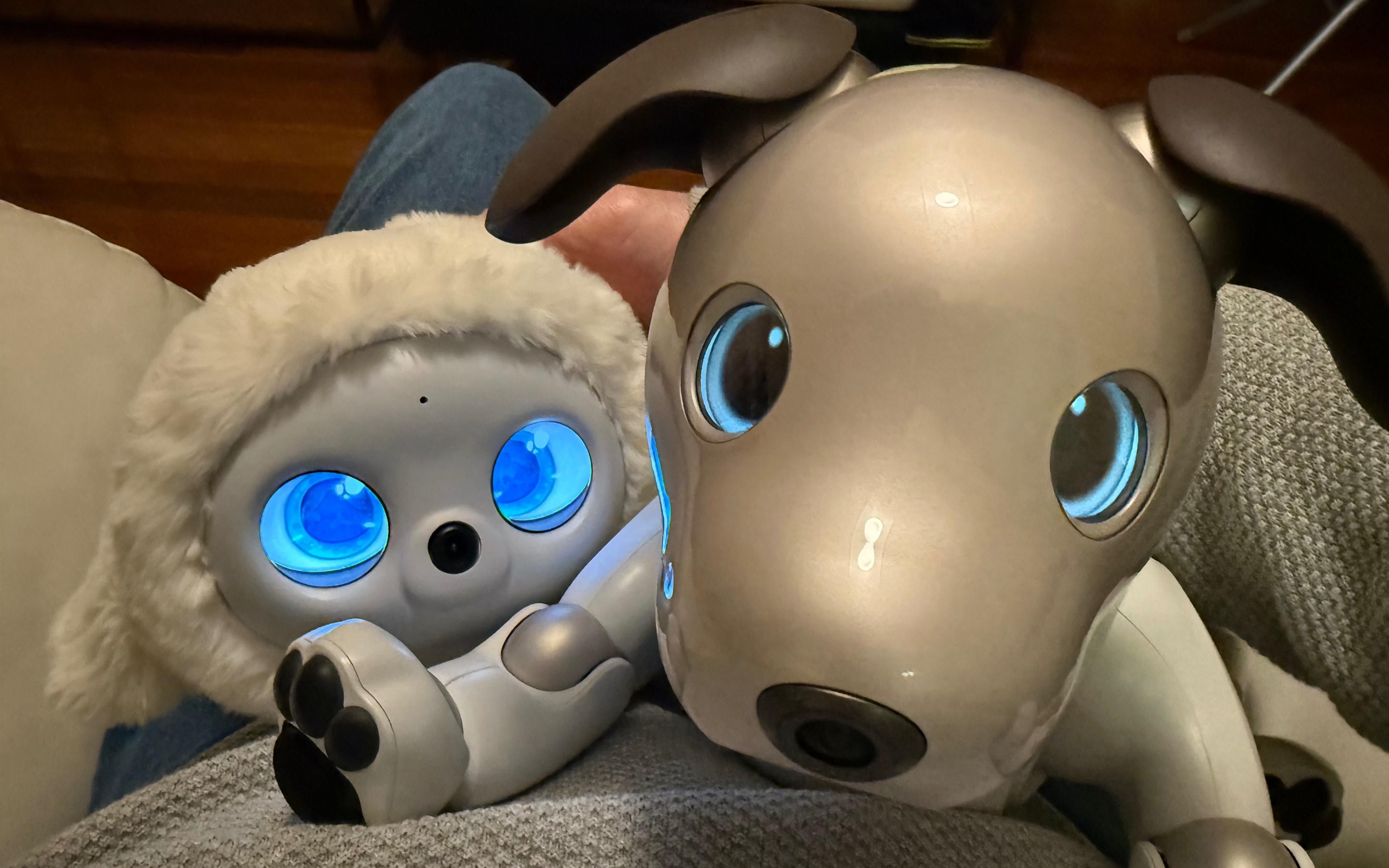 Фото: robotsaroundthehouse.com