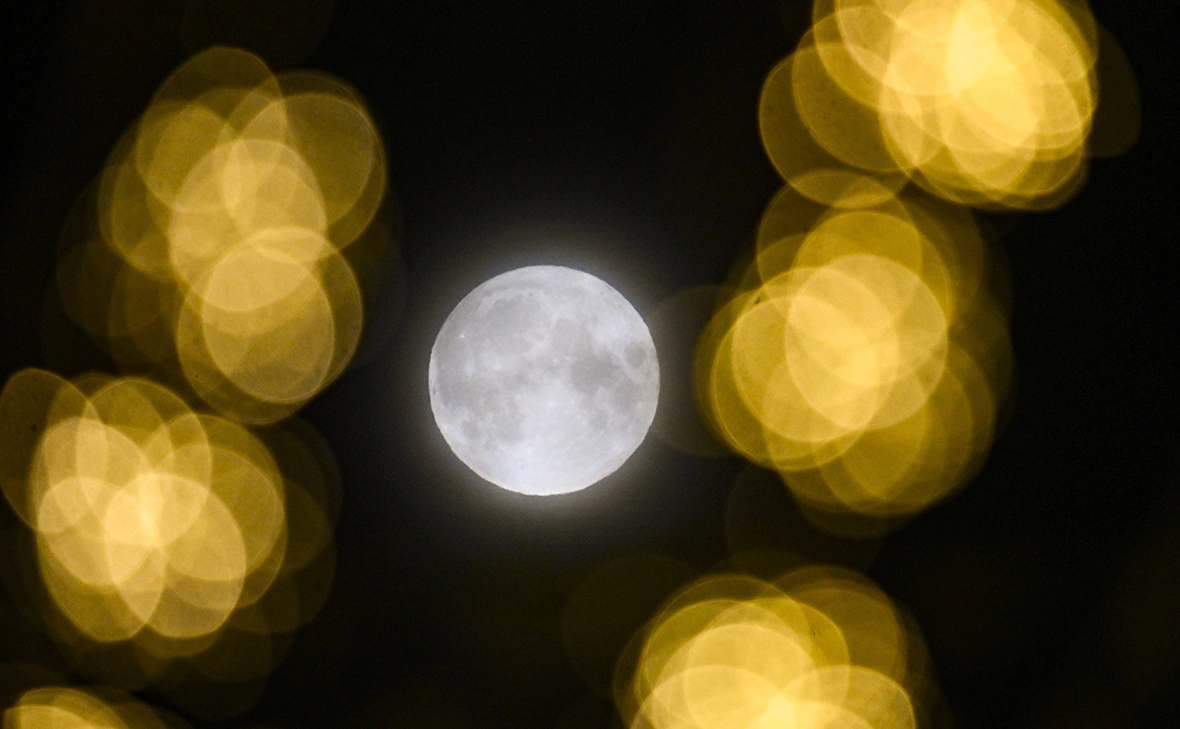 Александр Земляниченко / Global Look Press