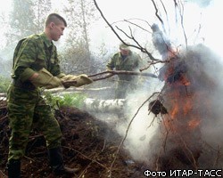 Площадь лесных пожаров в РФ стала в 2 раза больше прошлогодней