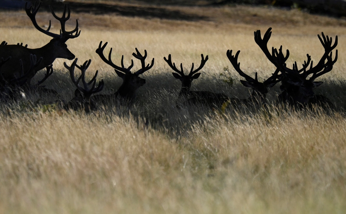 Toby Melville / Reuters