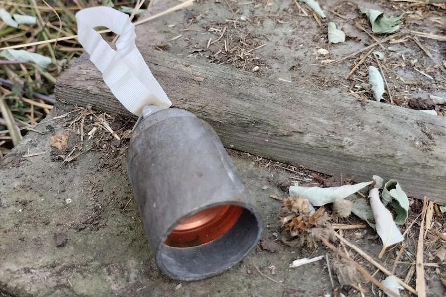 Фото: Prikhodko1970 / Telegram