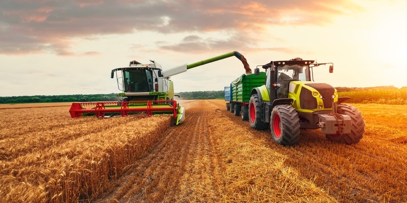 Фото: Shutterstock