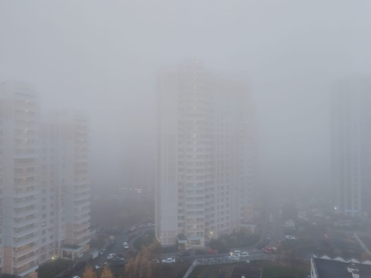 Фото: Александра Хмурковская / РБК