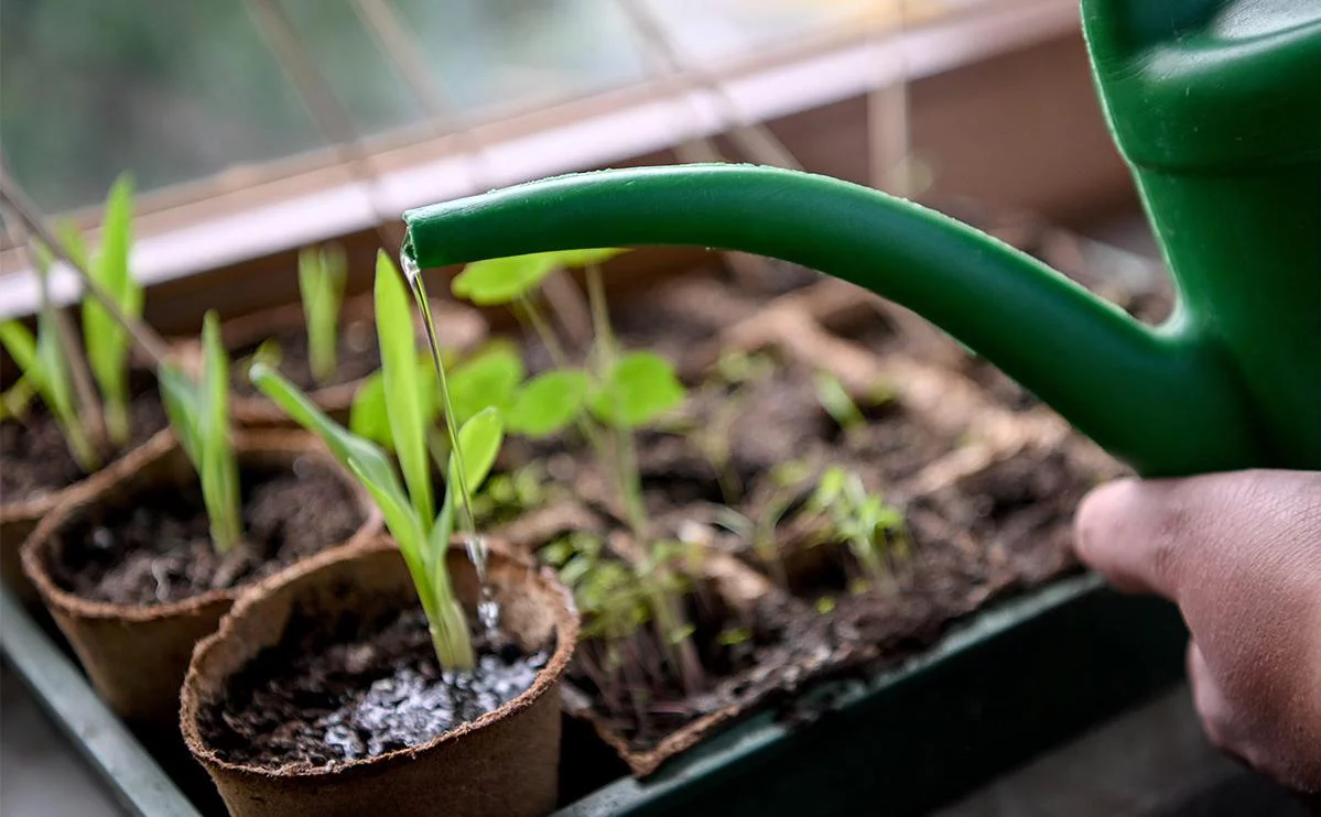 Britta Pedersen / Global Look Press