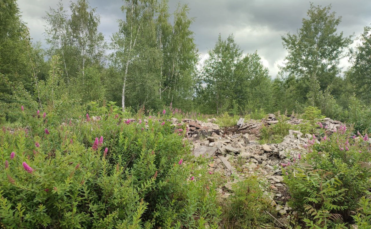 РБК Черноземье