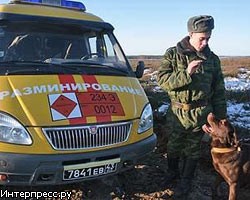 В трех районах Петербурга найдены боеприпасы