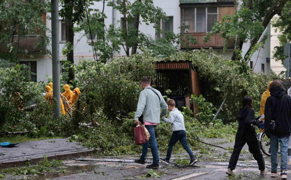 Михаил Гребенщиков / РБК