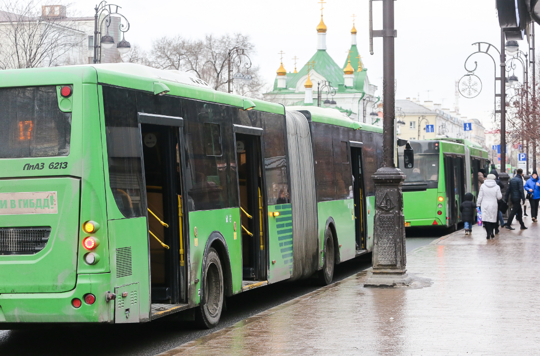 На линию автобусы должны выйти через несколько недель