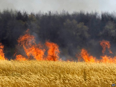 Центральная Россия во власти огня