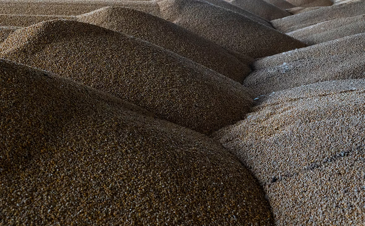 Анна Войтенко / Reuters