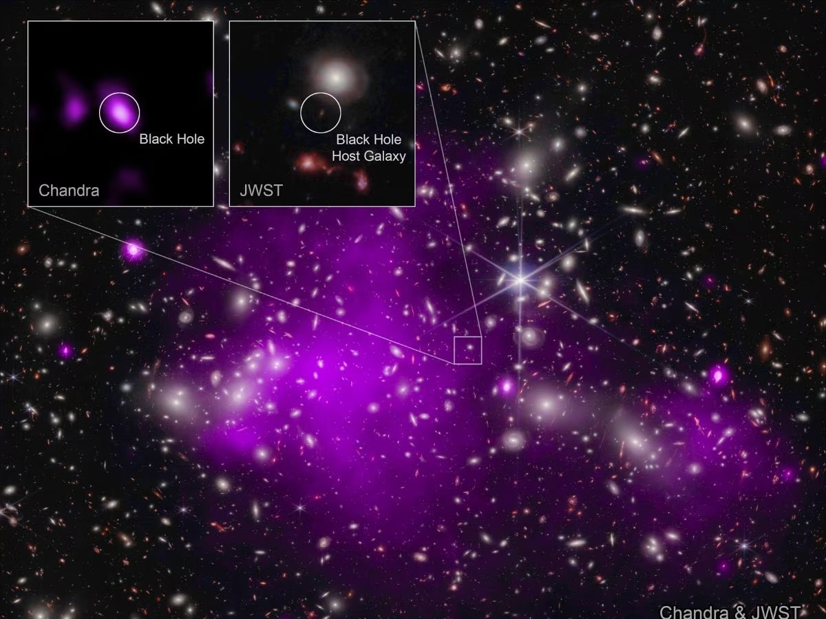 Объединенное изображение данных рентгеновской обсерватории NASA &laquo;Чандра&raquo; и космического телескопа Джеймса Уэбба, указывающее на растущую черную дыру всего через 470 млн лет после Большого взрыва.