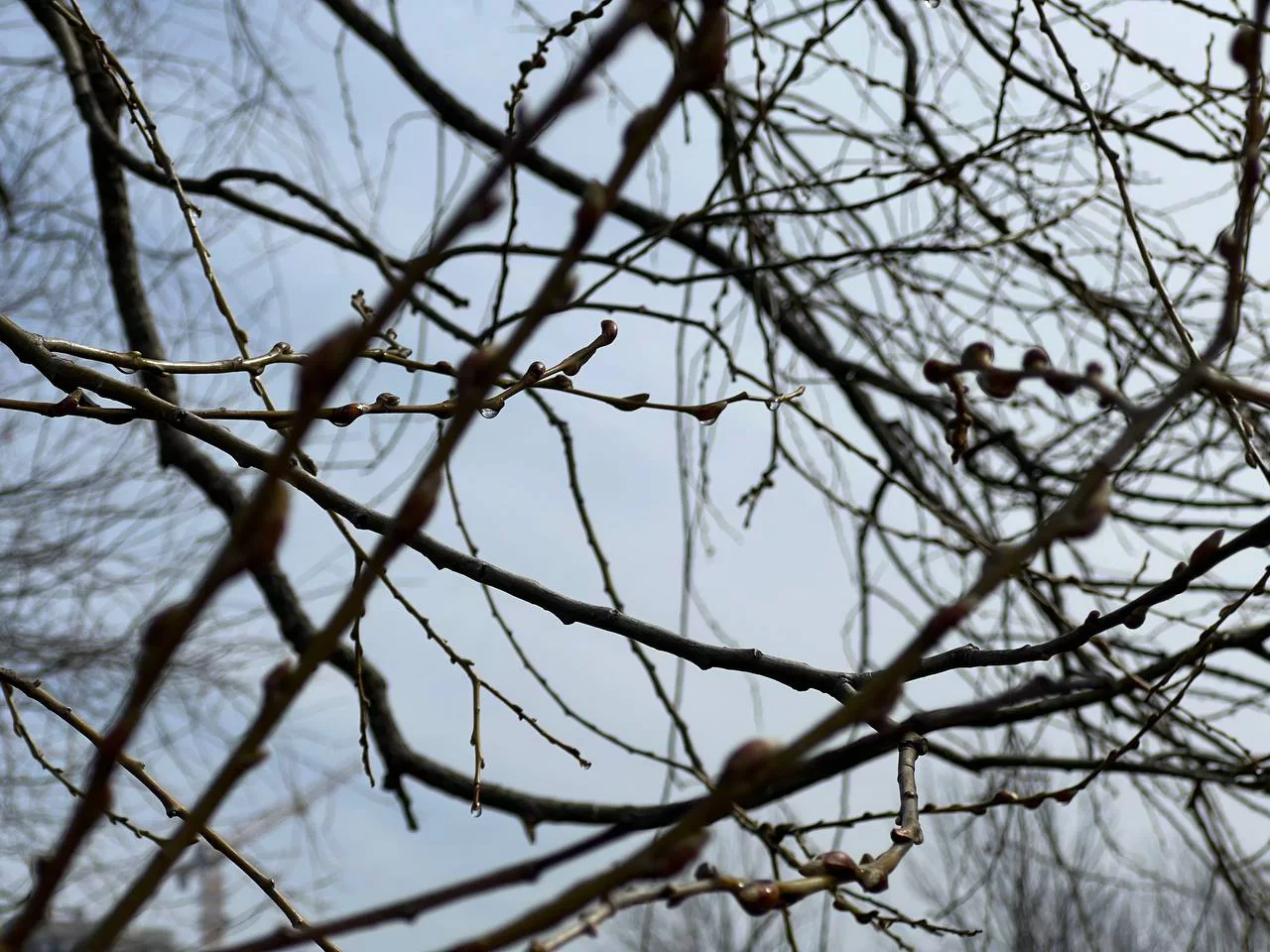 РБК Приморье