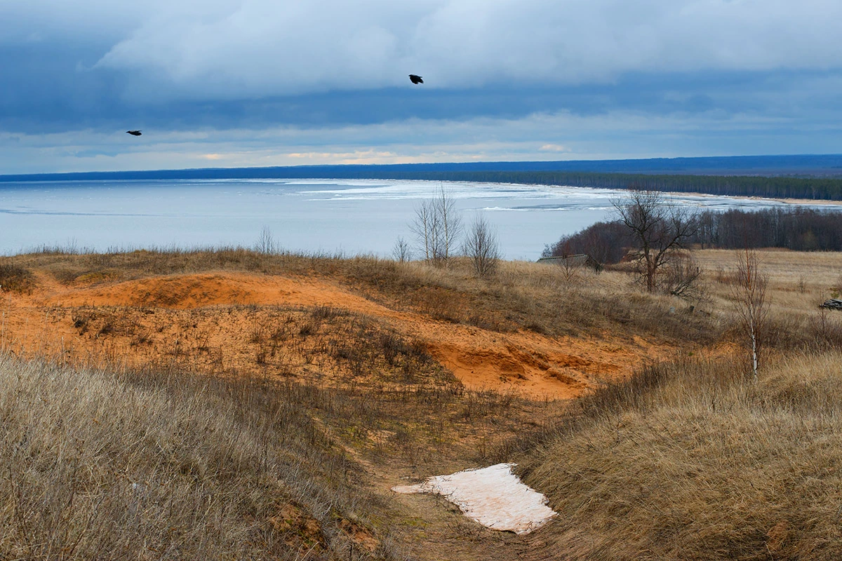 Если верба «хорошая», живая, свежая, с пушистыми почками, это добрый знак весны, обновления и будущего плодородия