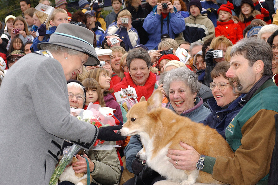 Еще одна страсть&nbsp;в жизни Елизаветы&nbsp;&mdash; собаки, а именно корги, которых&nbsp;у нее было больше 30.

На фото: королева знакомится с собакой из Ассоциации корги Манитобы на встрече с публикой во время поездки в Канаду. 2002 год