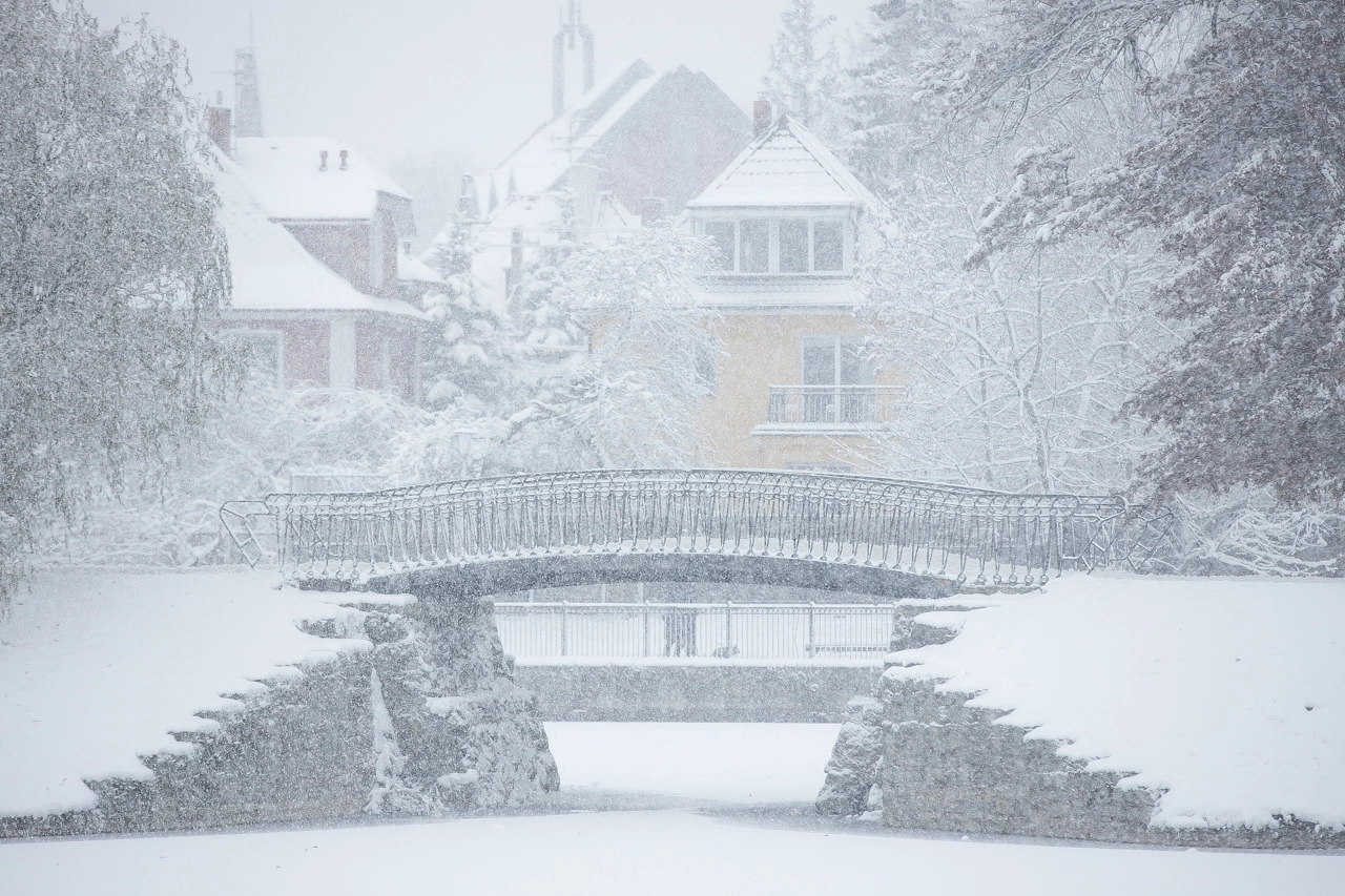 Александр Подгорчук