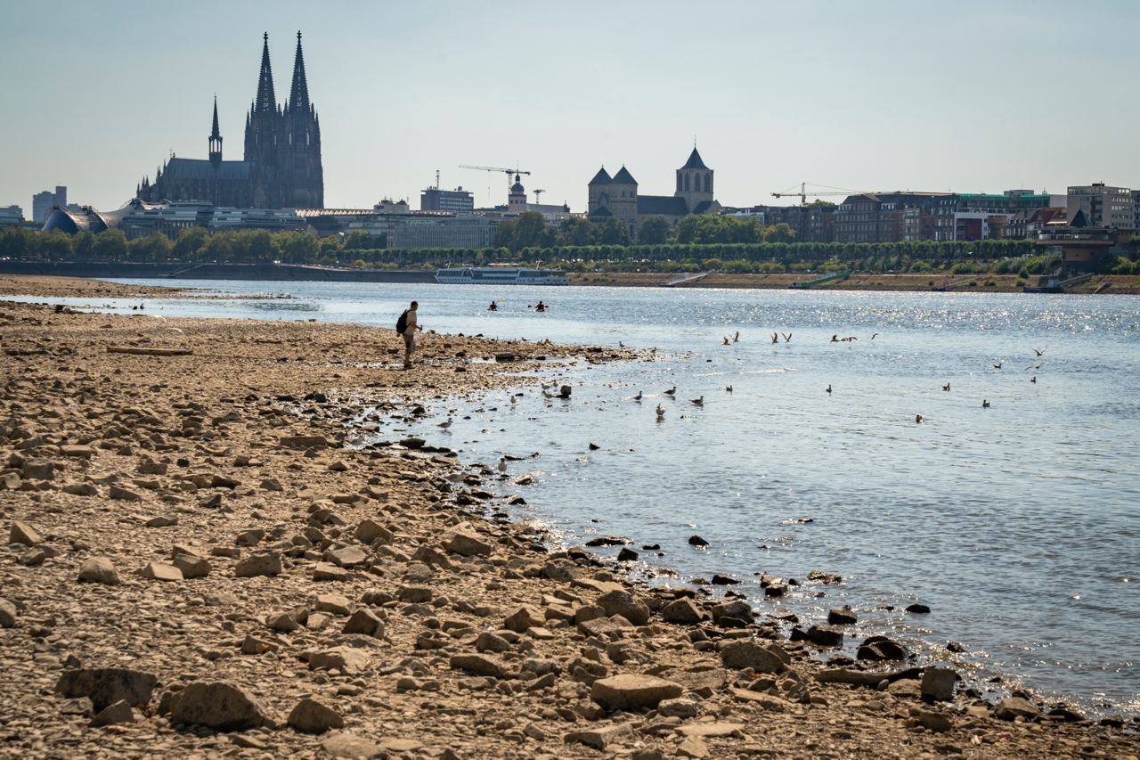 Река Рейн летом 2022 года