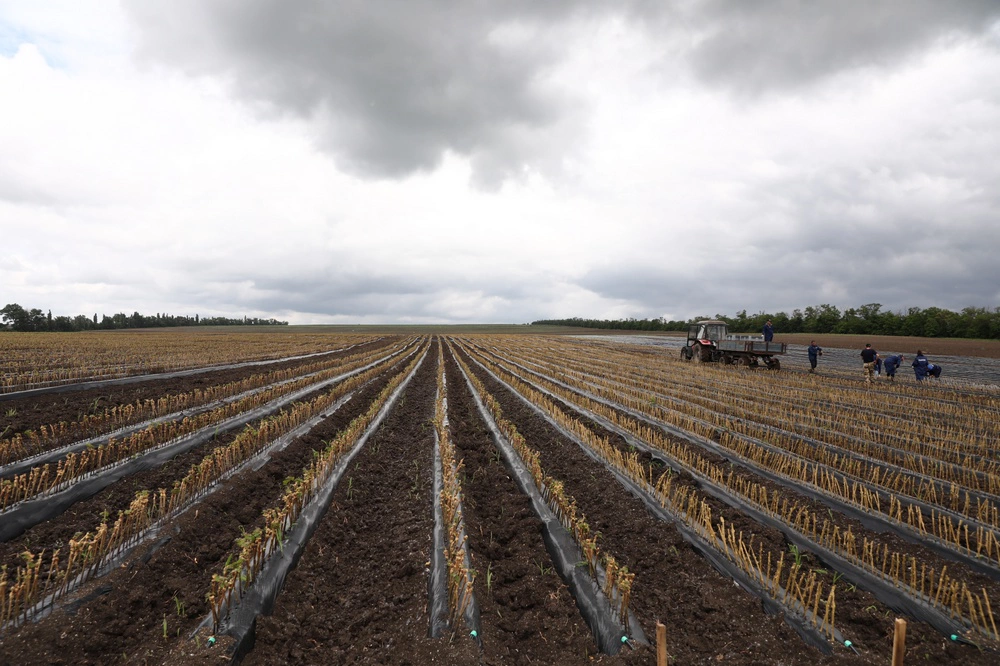 Пресс-служба администрации Краснодарского края