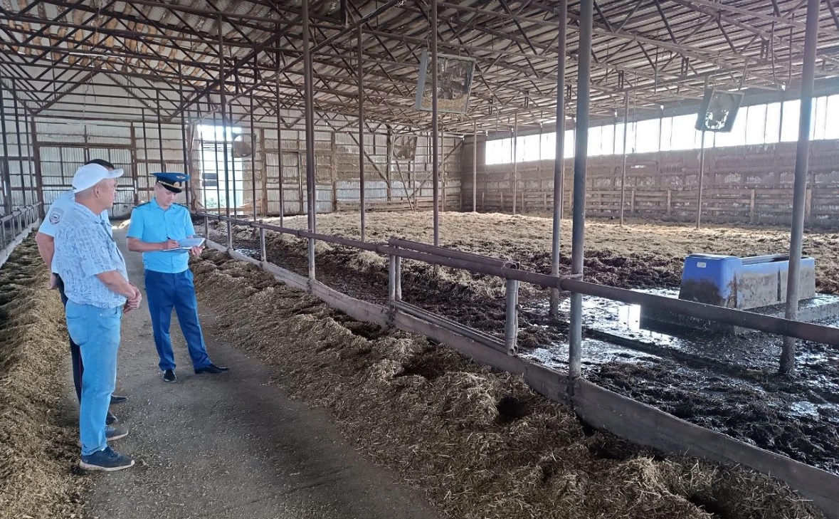 прокуратура РБ