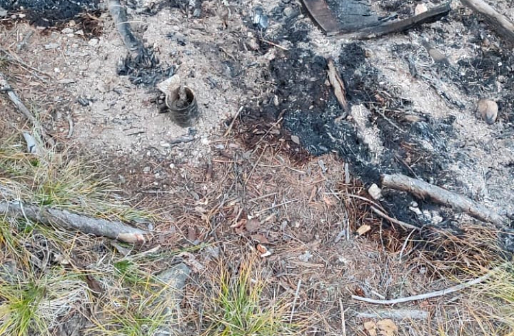 пресс-служба правительства Приморского края