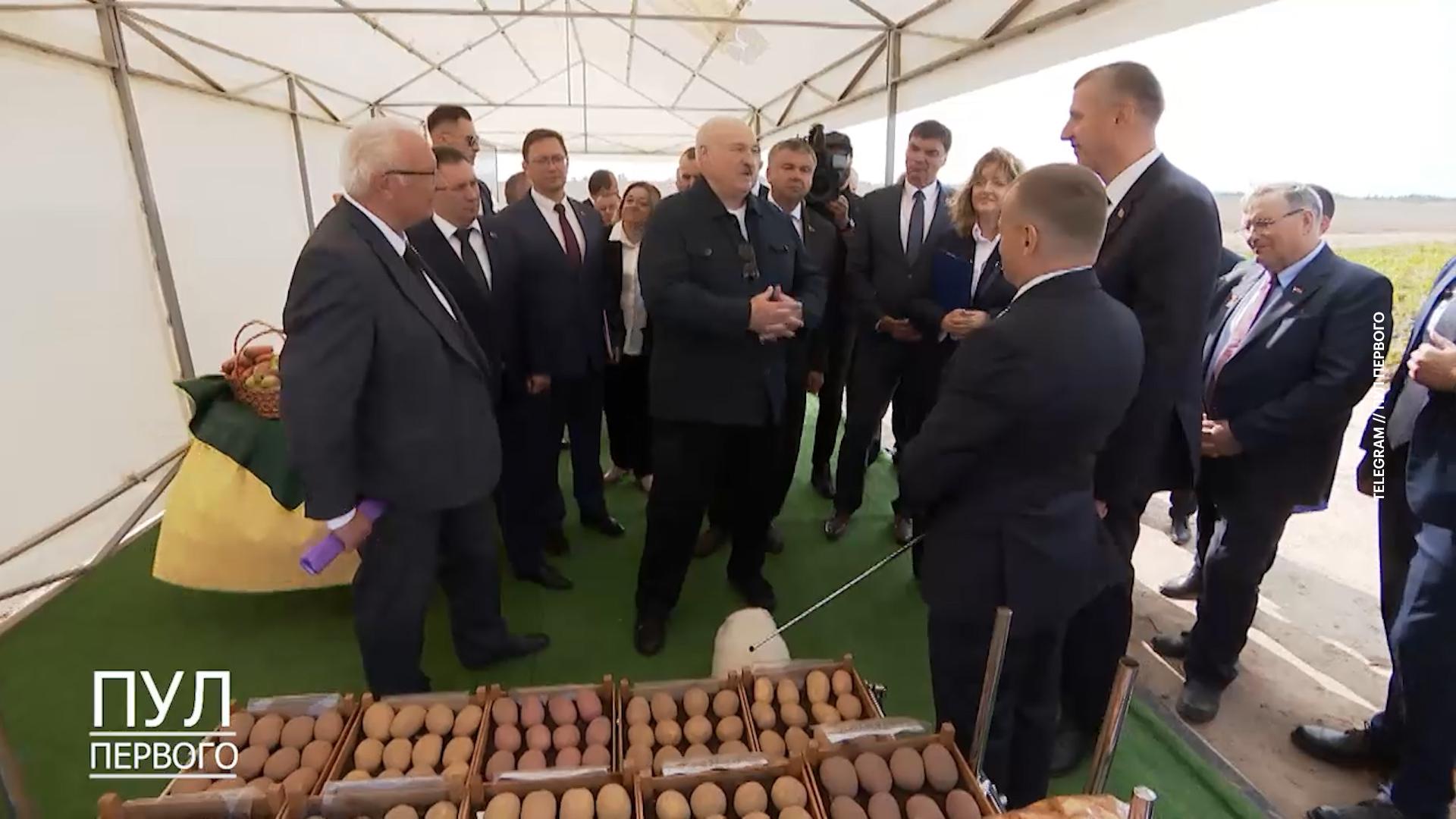 Лукашенко показал, какую картошку подарит лидерам ШОС в Китае. Видео