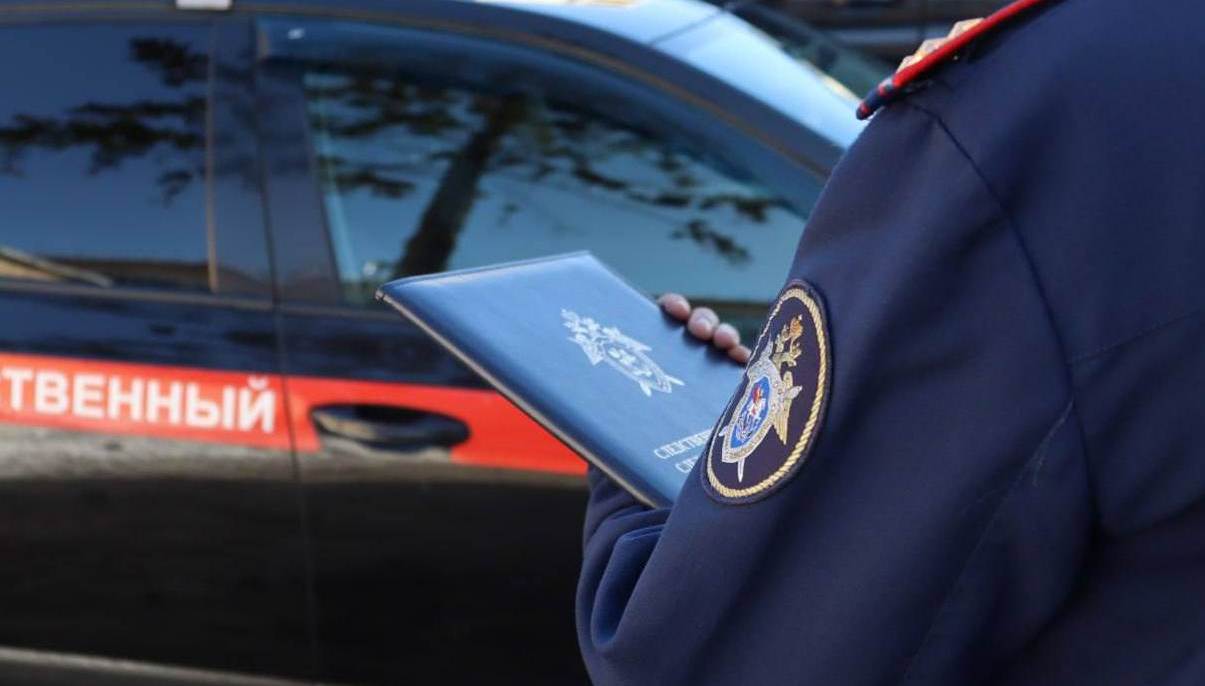 В Городце изъяли из семьи детей, подозреваемых в избиении пенсионерки