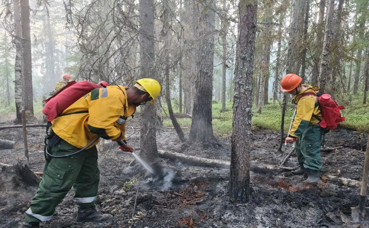 Янина Свидская/ vk.com