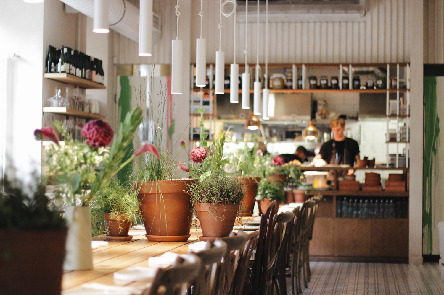 Интерьер ресторана Animals