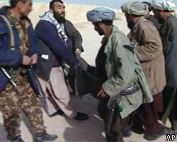 Талибы: Омар и Бен Ладен живы 