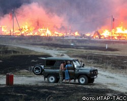 Площадь пожаров в России составила более 120 тыс. гектаров