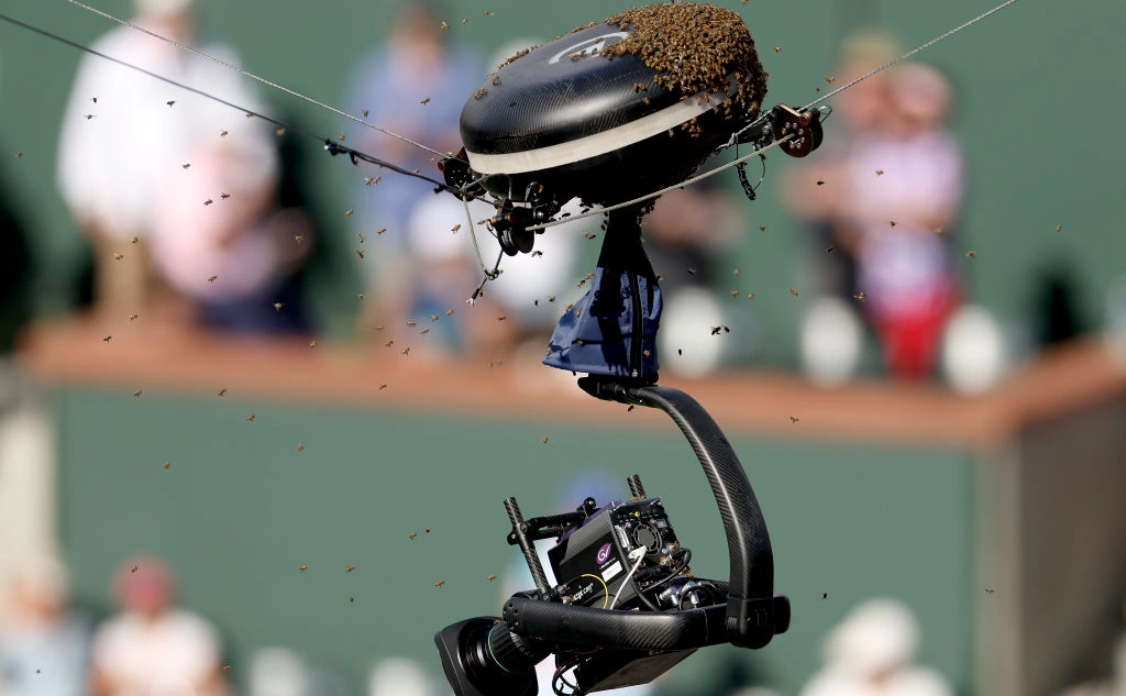 Matthew Stockman / Getty Images