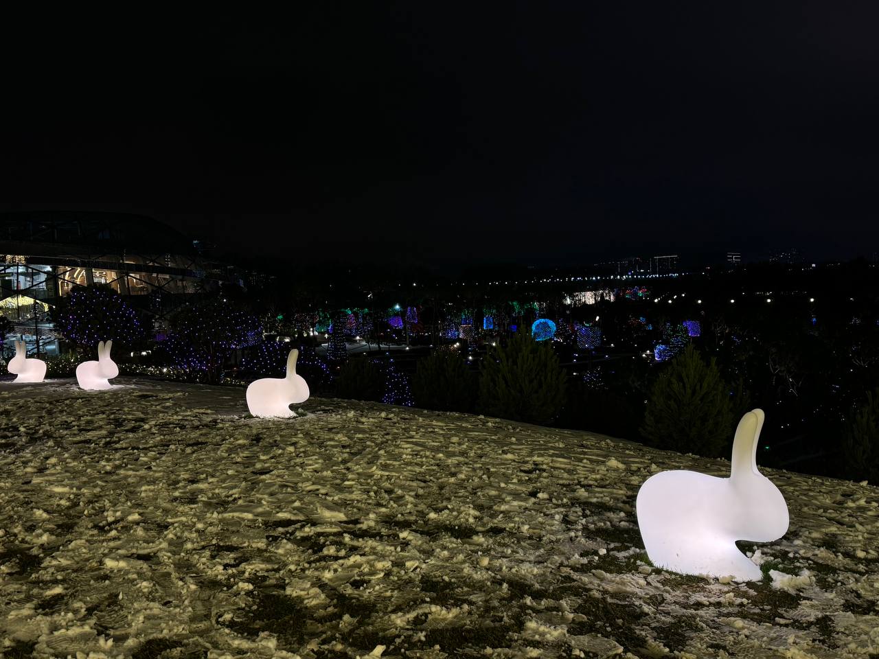 Фото: РБК Краснодар