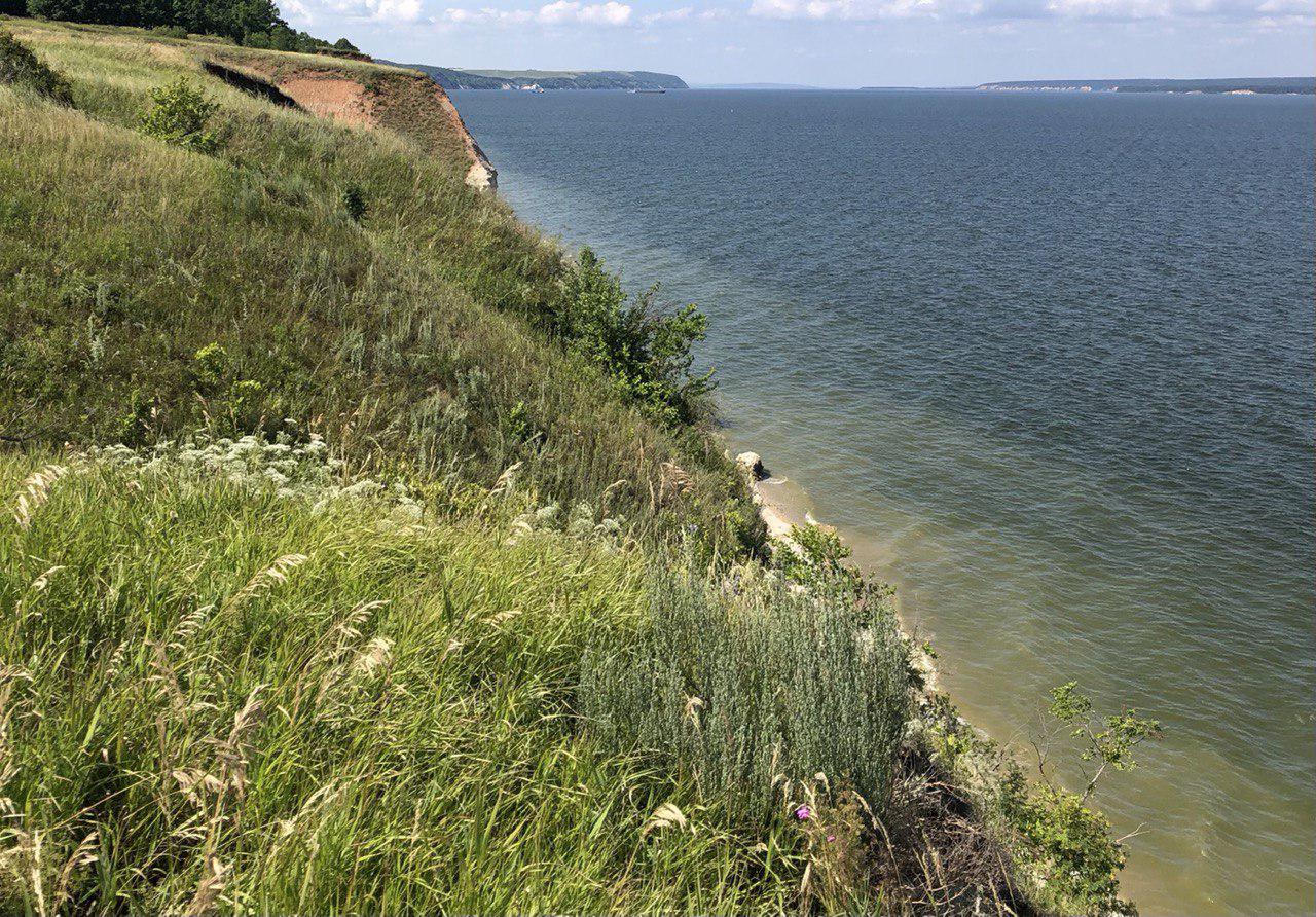 Ученые объяснили, почему позеленела вода в Куйбышевском водохранилище