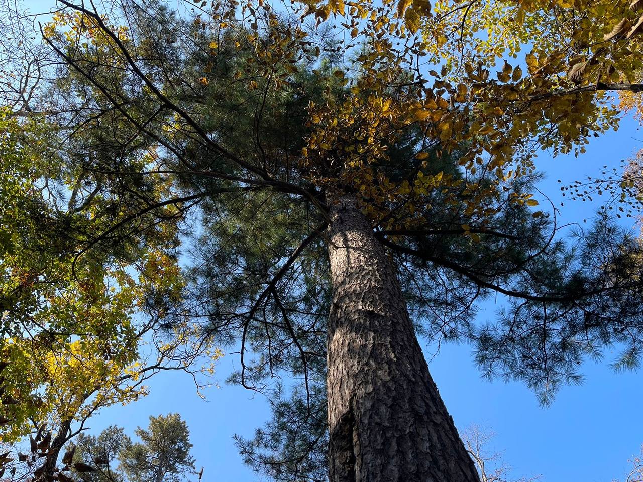 Фото: РБК Приморье