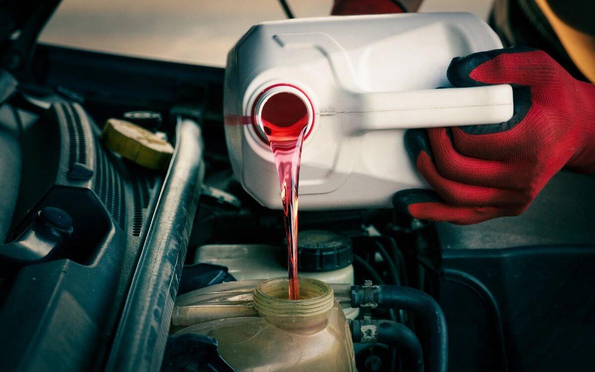 Фото: Nikvart / Shutterstock / FOTODOM