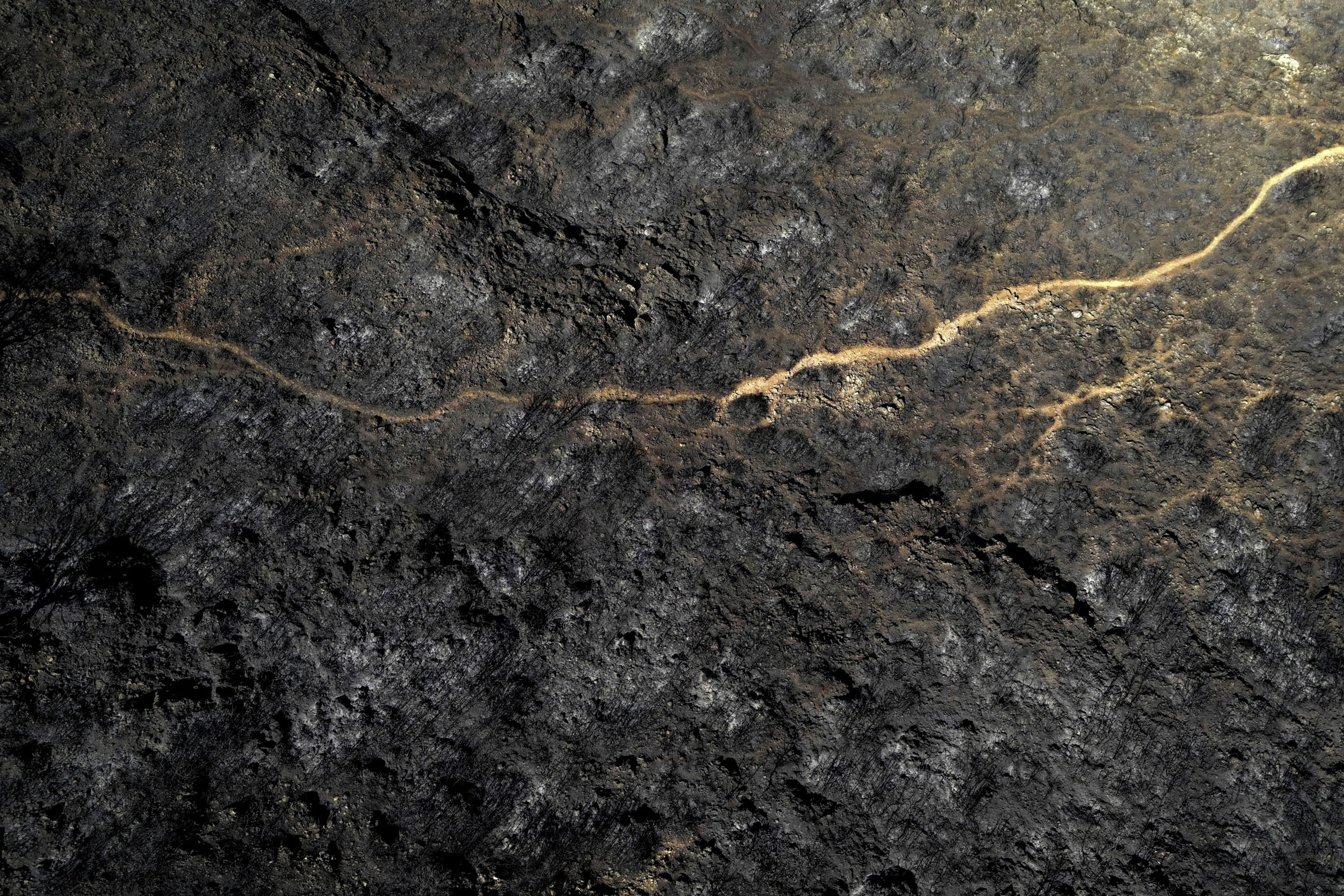 Последствия лесного пожара близ курортной деревни Борш на Ионическом побережье Албании. В тушении участвовали пожарные вертолеты, но пламя не поддавалось из-за жары и ветра. 28 июля 2025 года