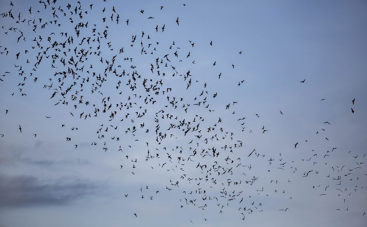 Lauren DeCicca / Getty Images