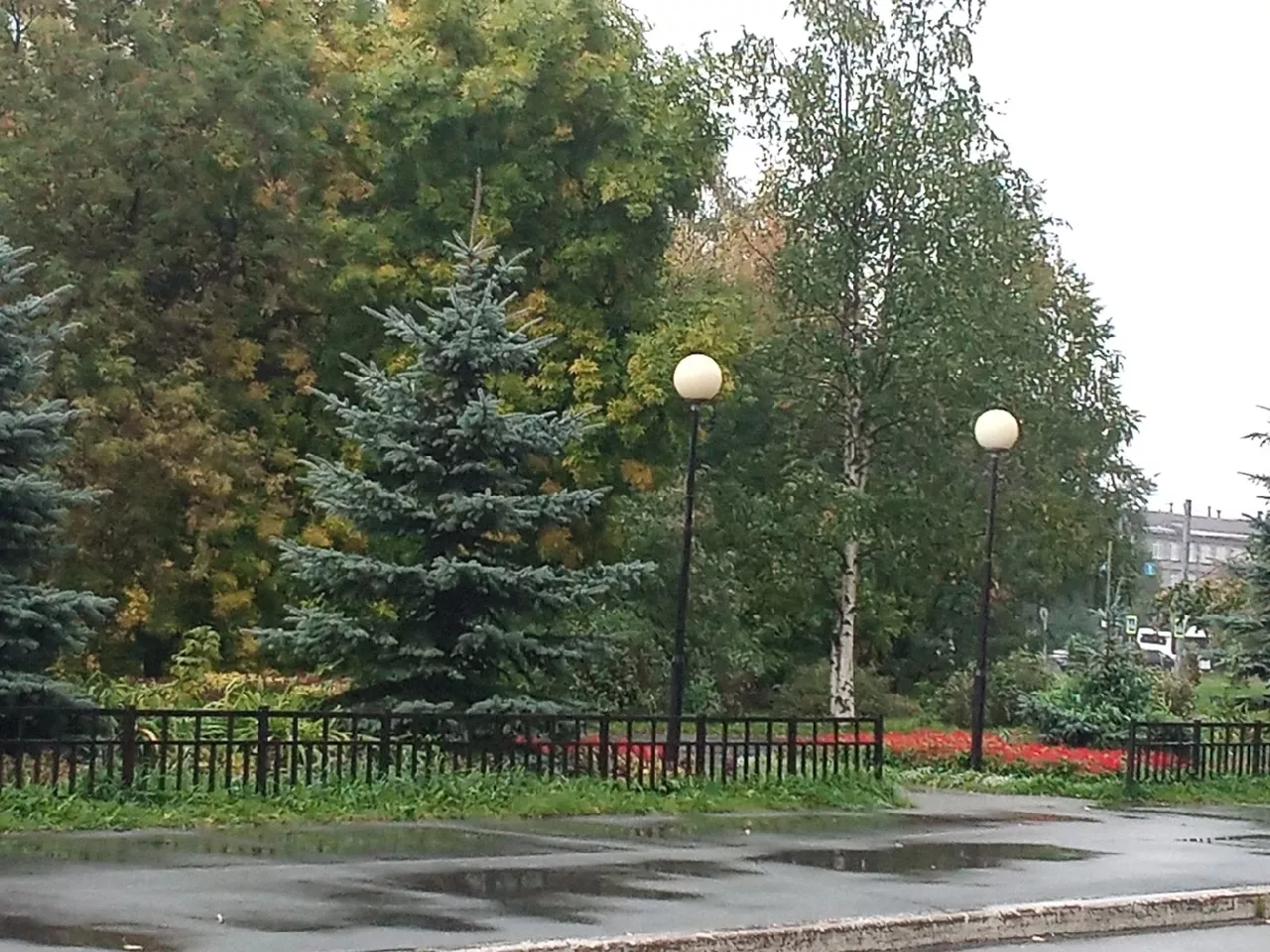 РБК