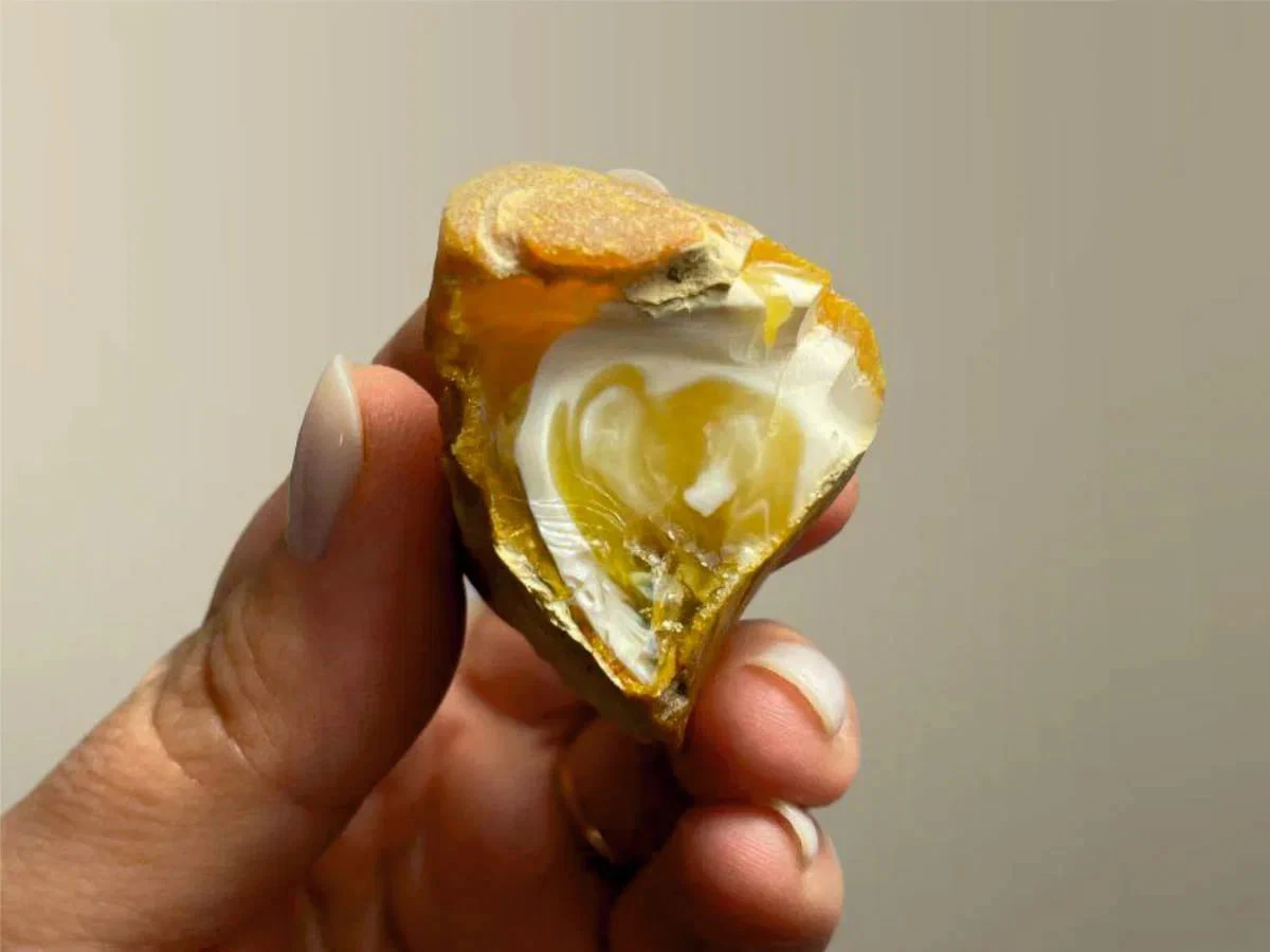 Александр Подгорчук